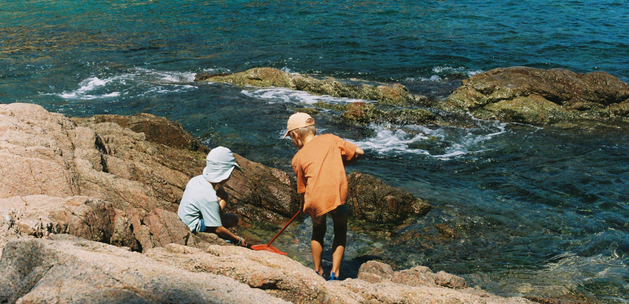 Guía Definitiva de Panoramas Familiares Verano 2026