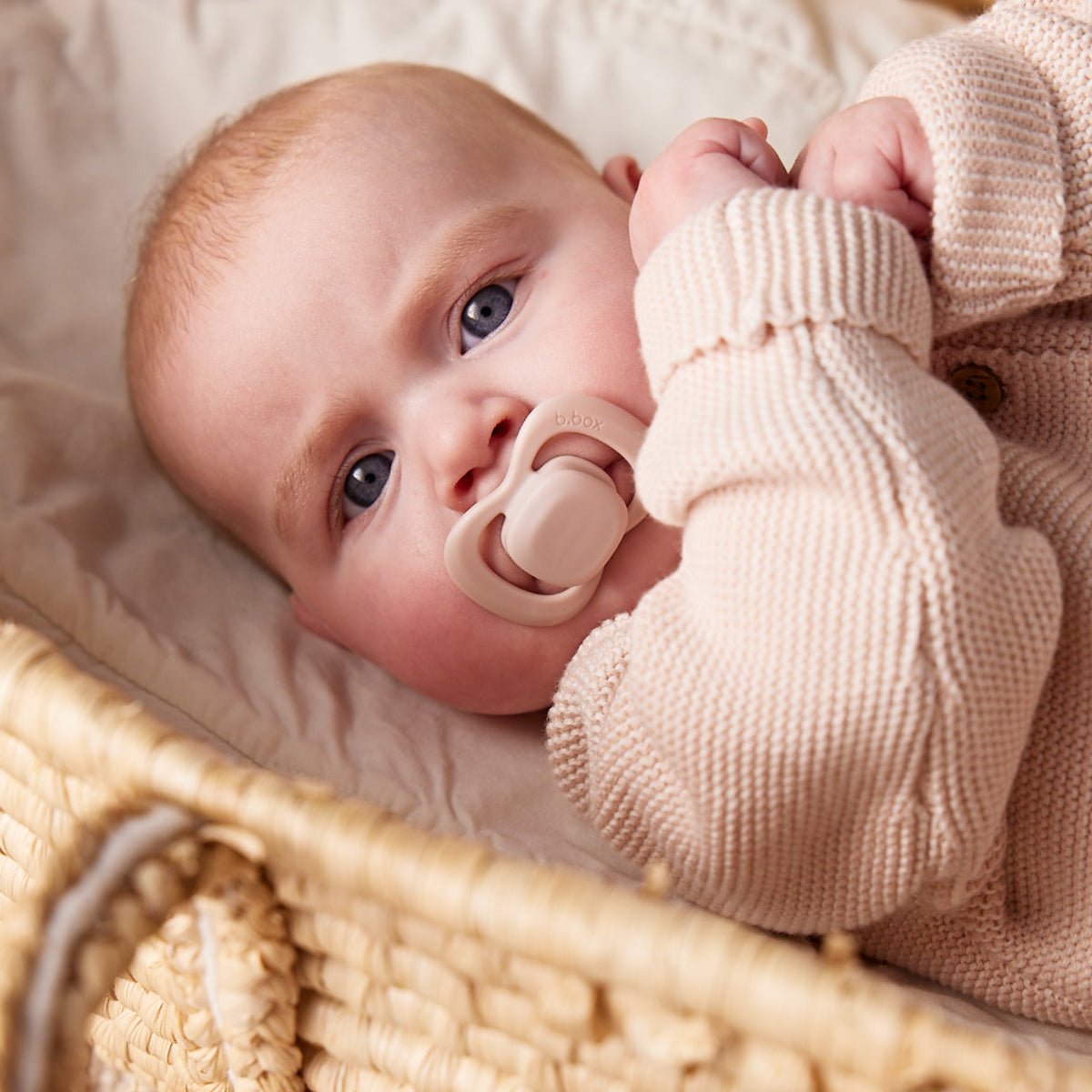 b.box Blush/Latte Chupete de Silicona 6 meses en adelante