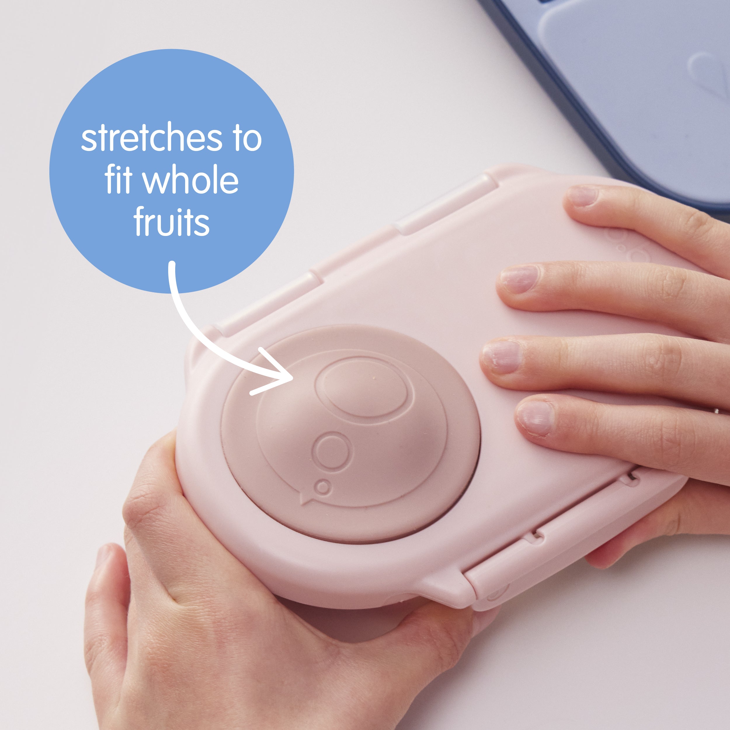 b.box Snackbox b.box