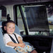Dream Baby Cortina roller para auto sin diseño