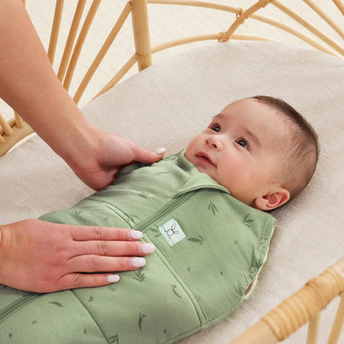 ErgoPouch Cocoon Swaddle Bag TOG 2.5 3 a 6 meses