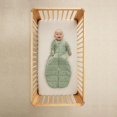ErgoPouch Sleep Suit Bag TOG 2.5 8 a 24 meses