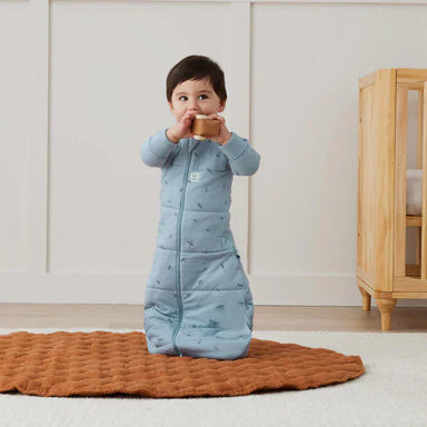 ErgoPouch Sleeping Bag con mangas TOG 2.5 3 a 12 meses