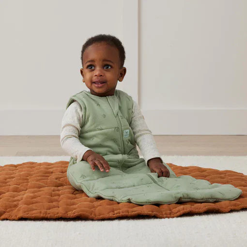 ErgoPouch Sleeping Bag TOG 2.5 3 a 12 meses