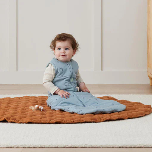 ErgoPouch Sleeping Bag TOG 2.5 3 a 12 meses