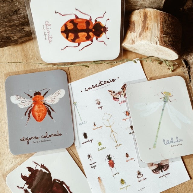 Pipocas Tarjetas de estimulación Insectario
