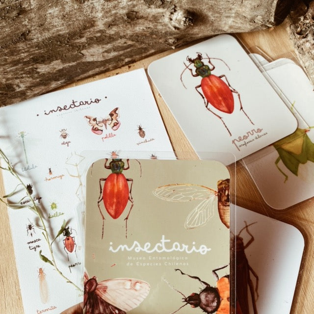 Pipocas Tarjetas de estimulación Insectario