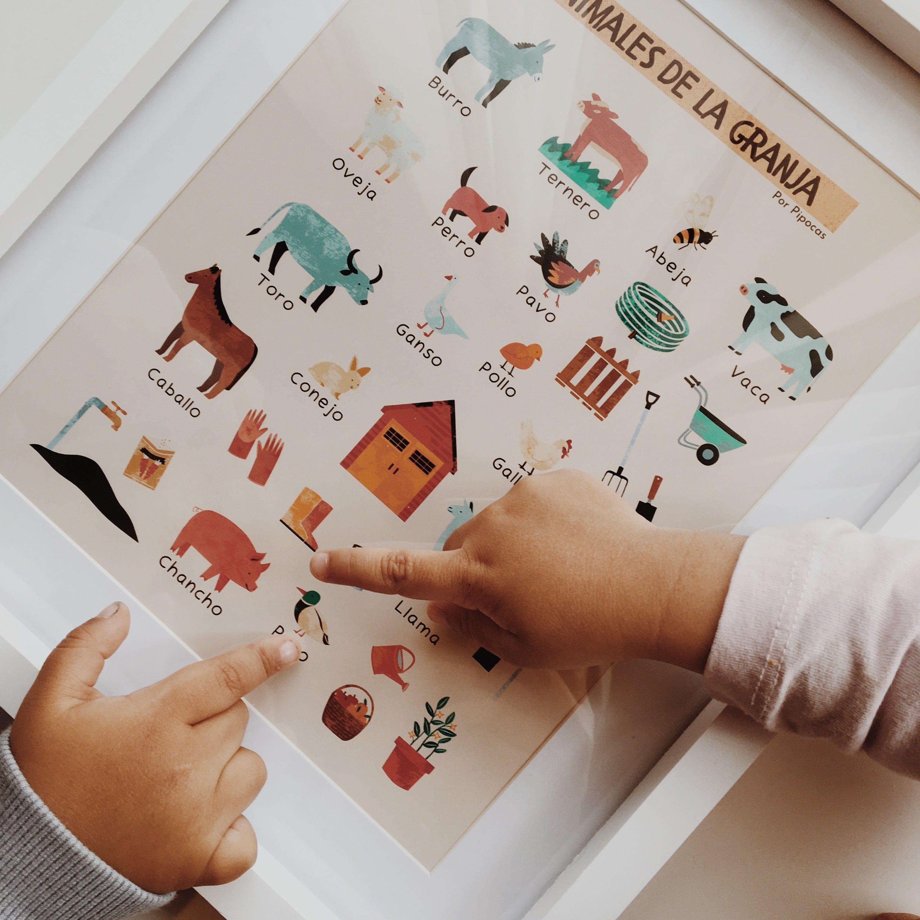 Tarjetas de estimulación ¿Qué animal es?